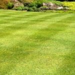 275918116 100681172591992 1379969694328541748 n 1