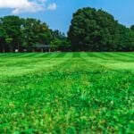 cropped s tsuchiya SJ3l3beX3XQ unsplash scaled 1 1