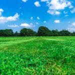 s tsuchiya SJ3l3beX3XQ unsplash